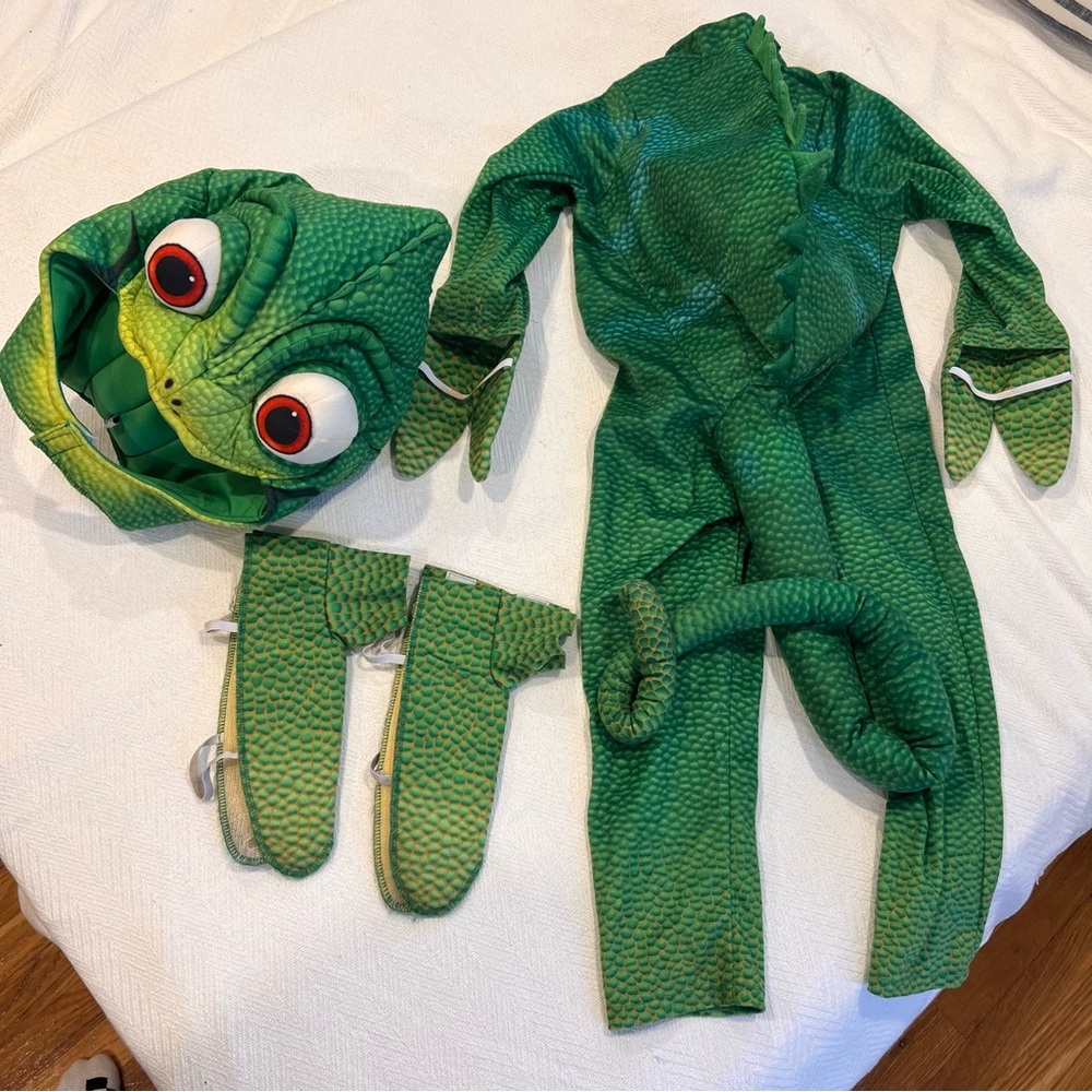 Disney Pascal Costume